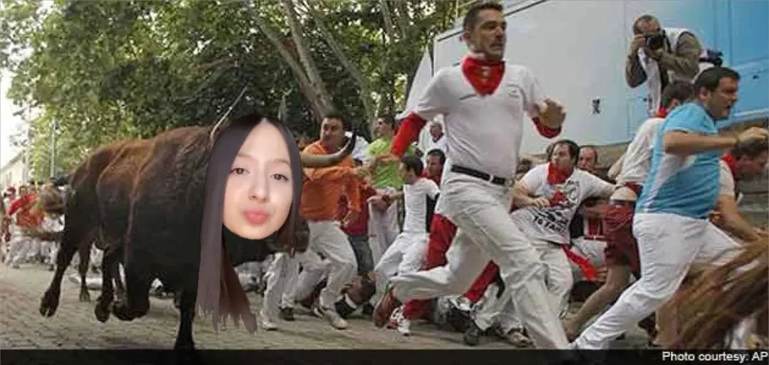 Stampede meme | image tagged in memes | made with Piñata Farms meme generator