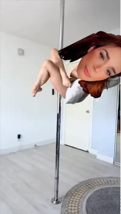 Pole dancer at quarantine meme | image tagged in memes | made with Piñata Farms meme generator