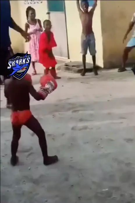 Piñata thumbnail image