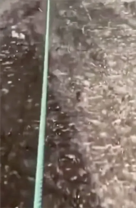 Monk climbs without a gear meme | image tagged in memes | made with Piñata Farms meme generator