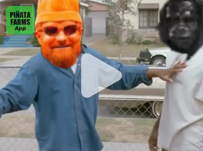Video Meme - Piñata Farms - The best meme generator and meme maker for ...