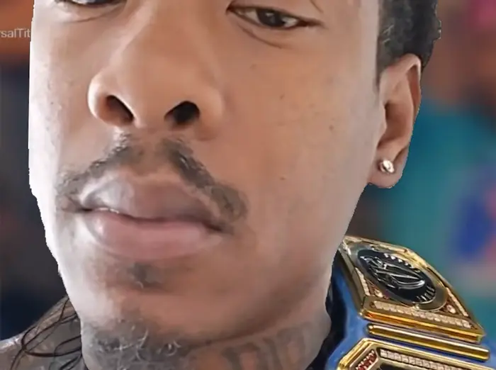 John Cena's entrance WWE meme | image tagged in memes | made with Piñata Farms meme generator