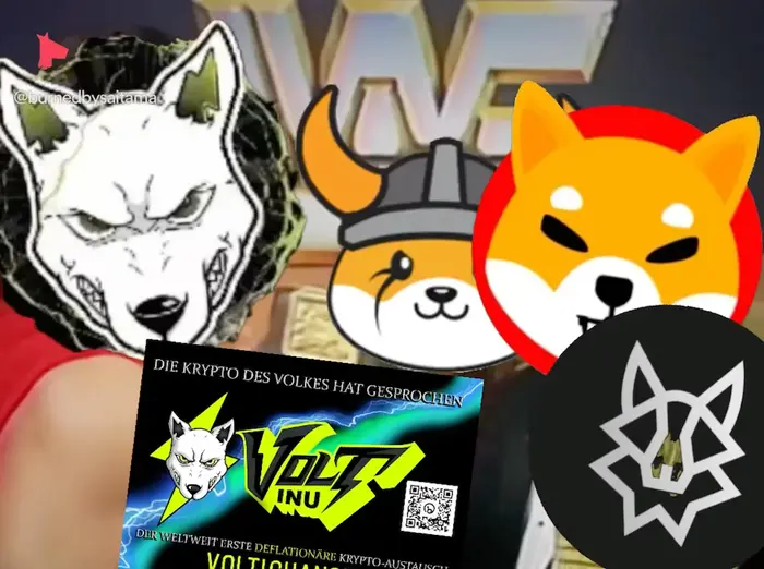 Macho Man - don't degrade the champion meme | image tagged in memes | made with Piñata Farms meme generator