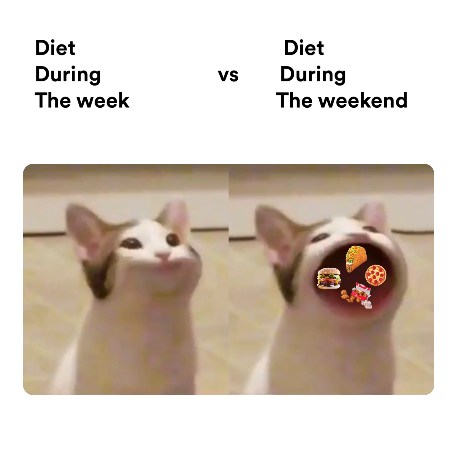 Pop cat meme | Diet                                         Diet
During                       vs        During
The week                             The weekend | image tagged in memes: food, funny, hoodclassics, keepingupwiththekardashians, news | made with Piñata Farms meme generator