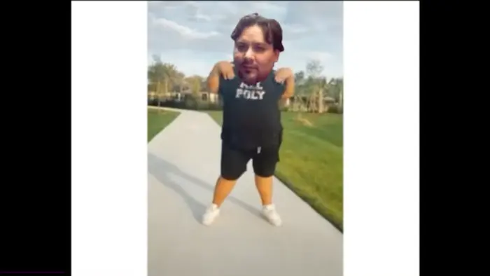 Piñata thumbnail image