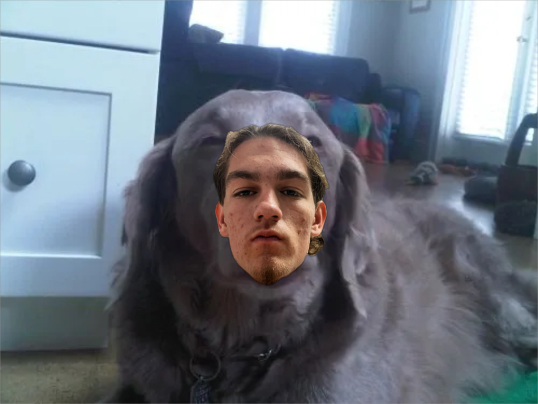 High Dog meme | image tagged in memes | made with Piñata Farms meme generator