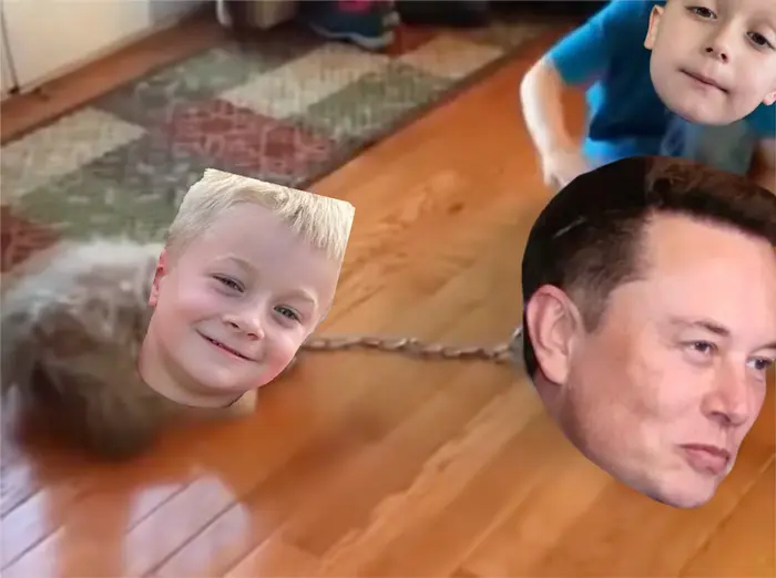 Piñata thumbnail image