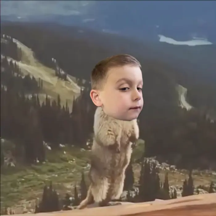 Piñata thumbnail image