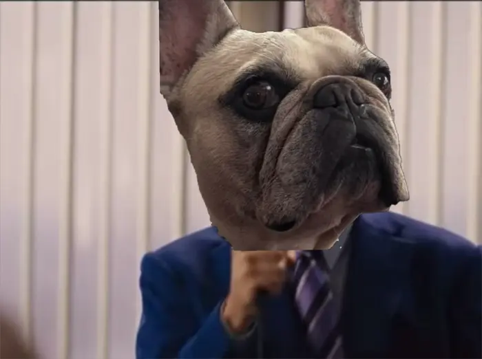 I'm not leaving meme | image tagged in memes | made with Piñata Farms meme generator