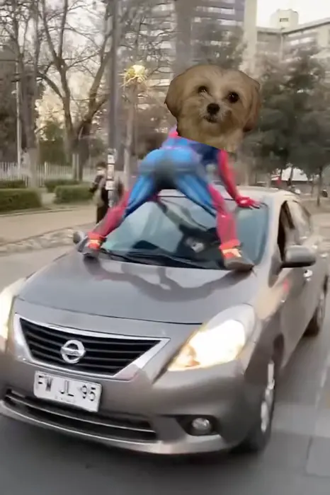 Piñata thumbnail image