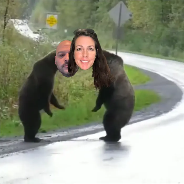 2 bears fighting in middle of road meme | image tagged in memes | made with Piñata Farms meme generator