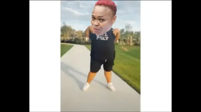 Piñata thumbnail image