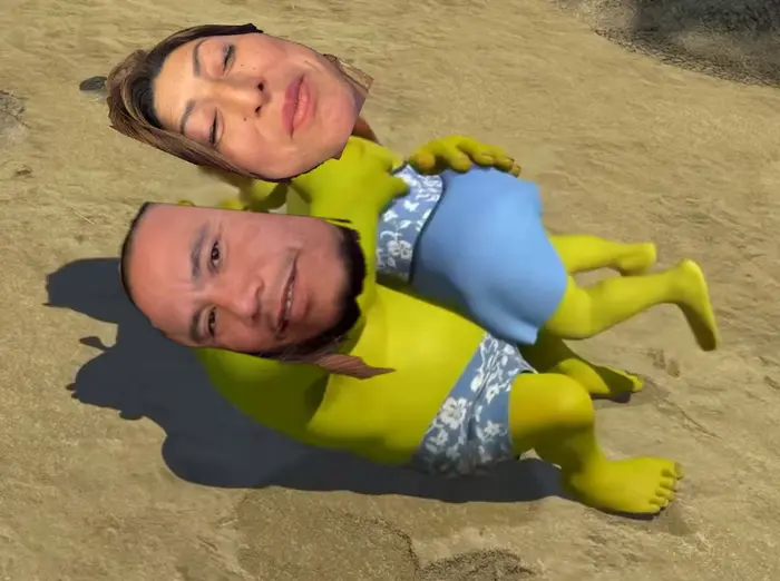 Shrek - Accidentally in Love Scene meme | image tagged in memes | made with Piñata Farms meme generator