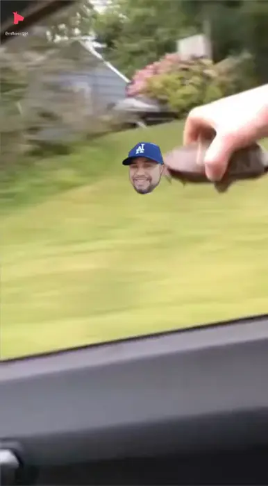 Simulator of flying for turtle meme | image tagged in memes | made with Piñata Farms meme generator