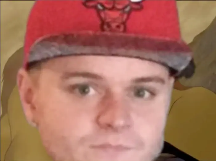 The Liong King - Long live the King meme | Nfghh | image tagged in memes | made with Piñata Farms meme generator