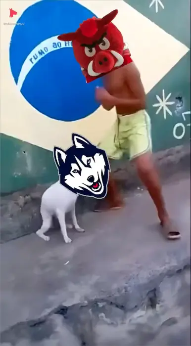 Piñata thumbnail image