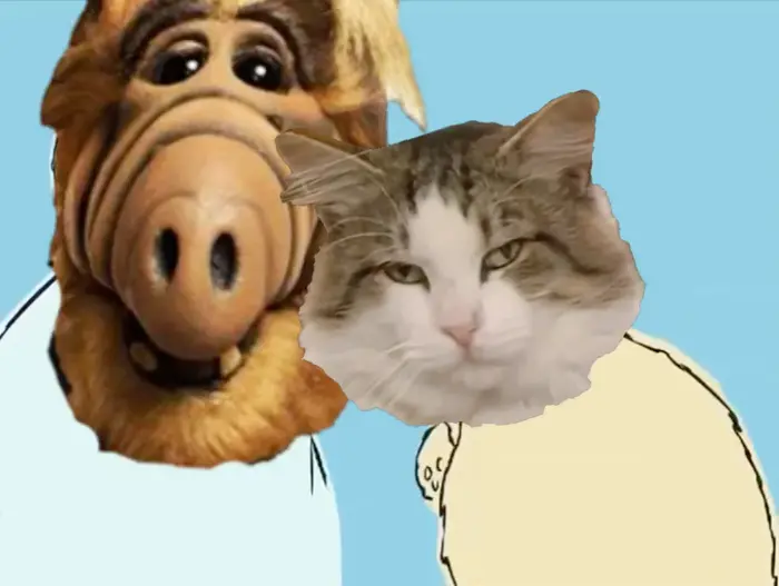 man doing magic trick get slapped meme | ALF: you… are no longer a cat, you are a bagel!
Lucky: | image tagged in memes | made with Piñata Farms meme generator