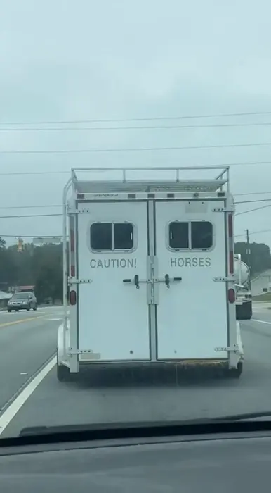 Caution, horses meme | image tagged in memes | made with Piñata Farms meme generator