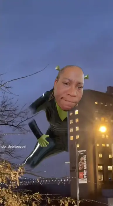 Piñata thumbnail image