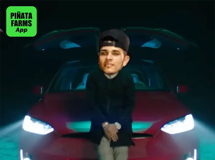 Piñata thumbnail image