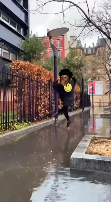 Piñata thumbnail image