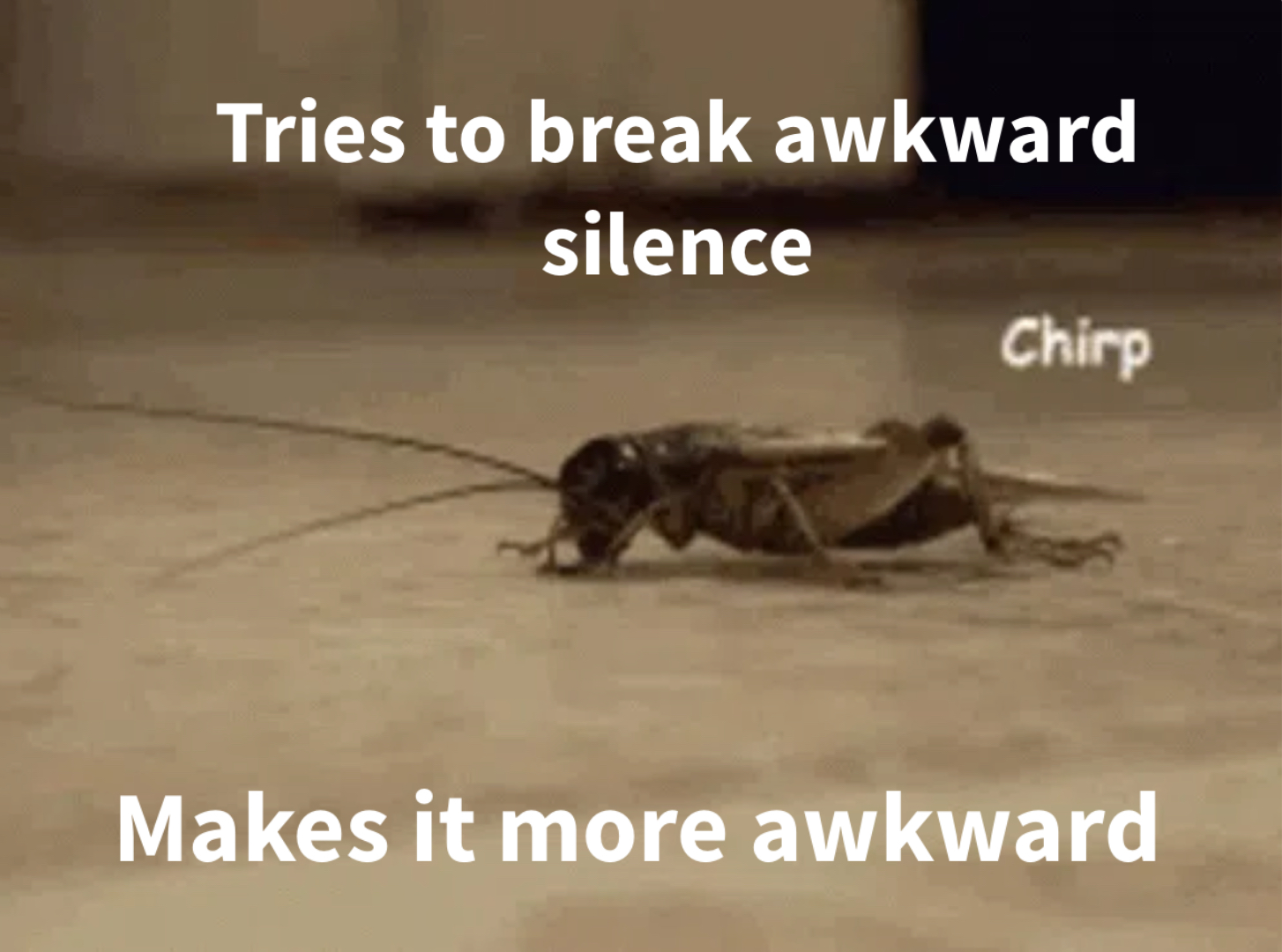 Crickets Memes Piñata Farms The best meme generator and meme maker