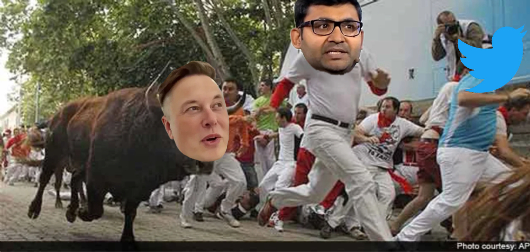 Stampede meme | Twitter HQ rn | image tagged in memes | made with Piñata Farms meme generator