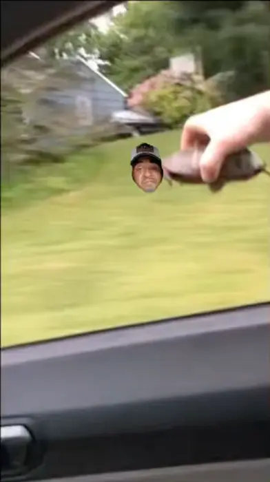 Simulator of flying for turtle meme | image tagged in memes | made with Piñata Farms meme generator