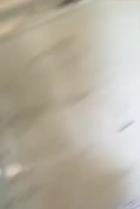 Guys do something crazy meme | image tagged in memes | made with Piñata Farms meme generator