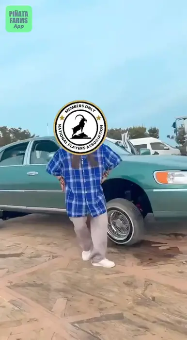 Piñata thumbnail image