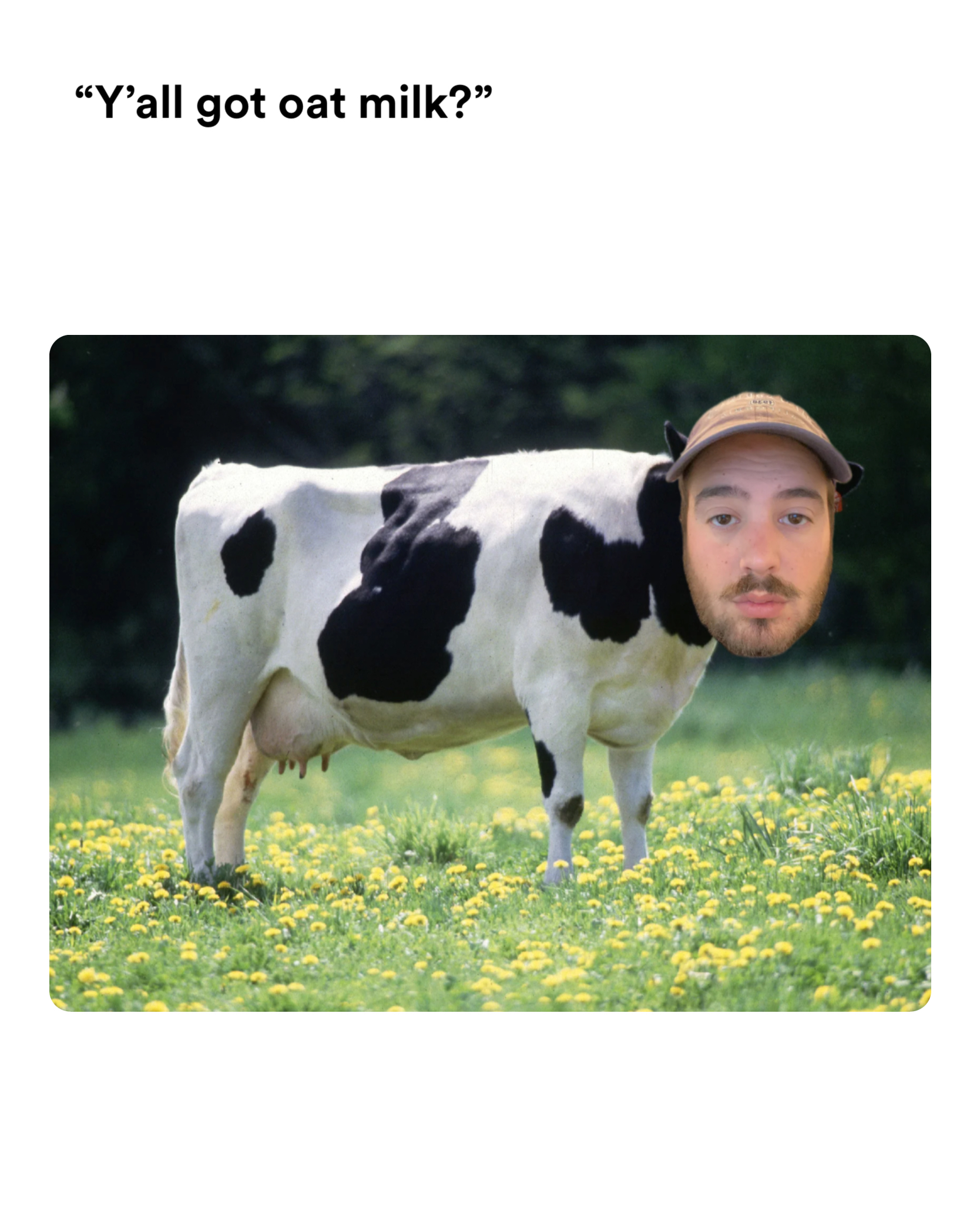 Cow meme | “Y’all got oat milk?” | image tagged in memes | made with Piñata Farms meme generator