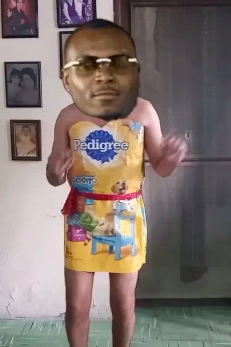 Piñata thumbnail image