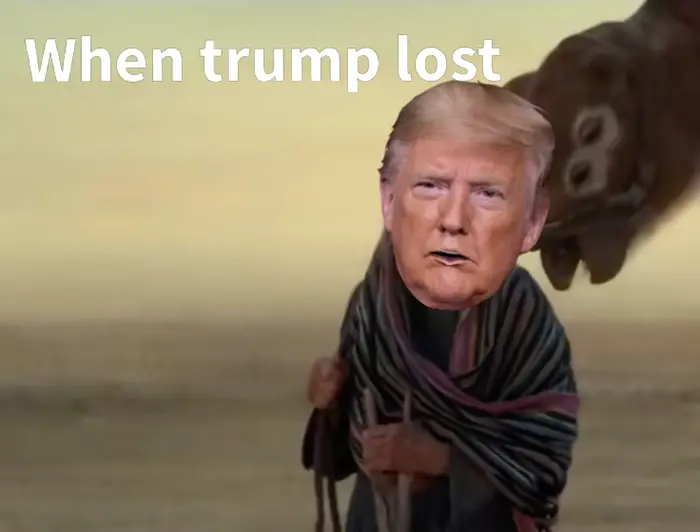 Who are you? meme | image tagged in memes | made with Piñata Farms meme generator