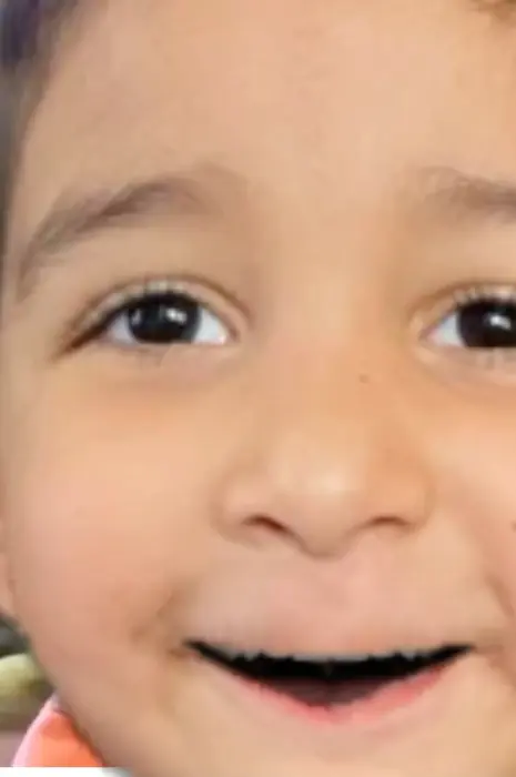 Baby is shocked, cause dog grabs a bird meme | image tagged in memes | made with Piñata Farms meme generator