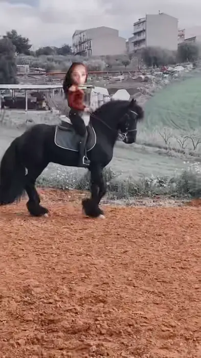 girl riding a horse meme | image tagged in memes | made with Piñata Farms meme generator