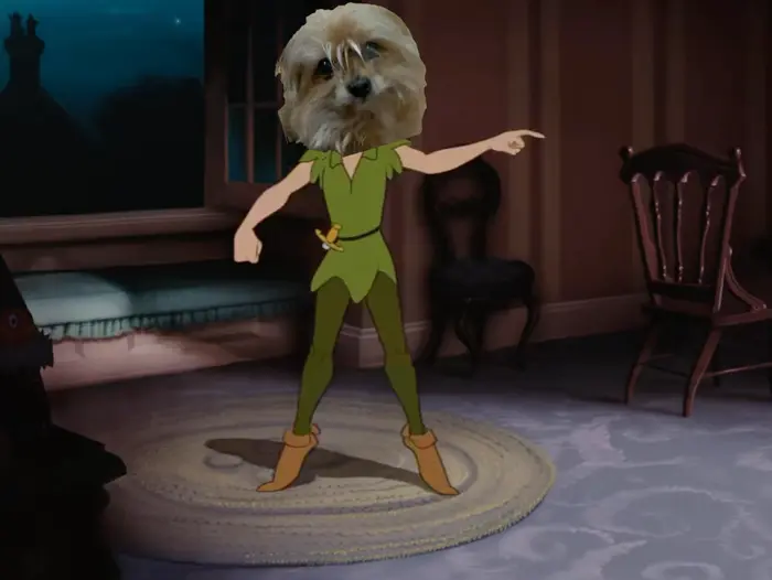 Piñata thumbnail image