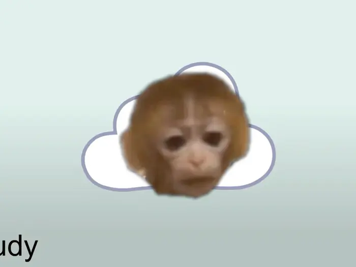 Battle for Dream Island meme | image tagged in memes | made with Piñata Farms meme generator