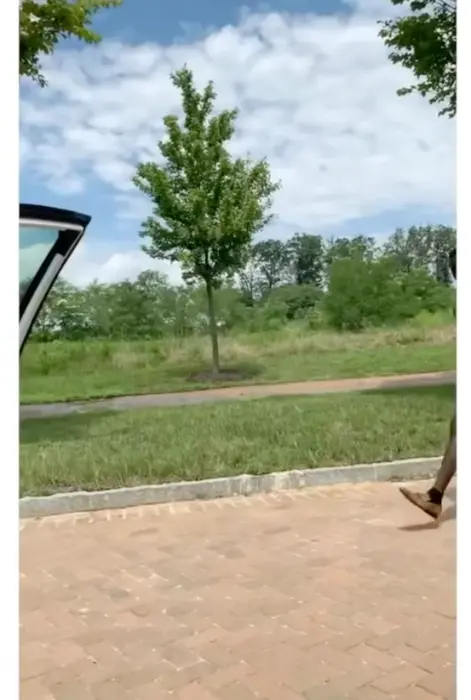 Mufasa and Fox46nick dance meme | image tagged in memes | made with Piñata Farms meme generator