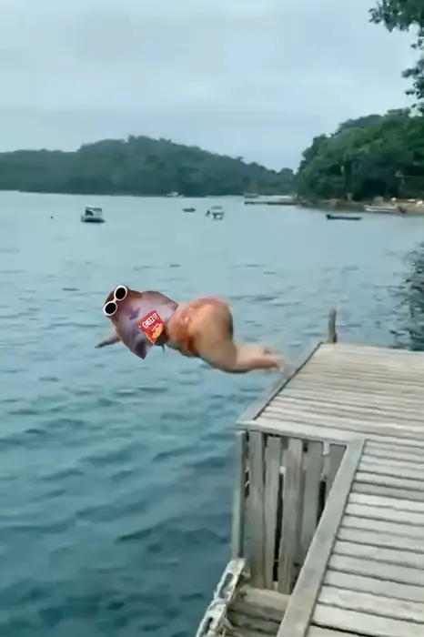 Piñata thumbnail image