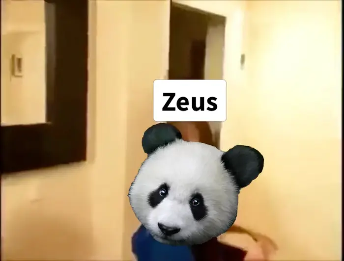 Piñata thumbnail image