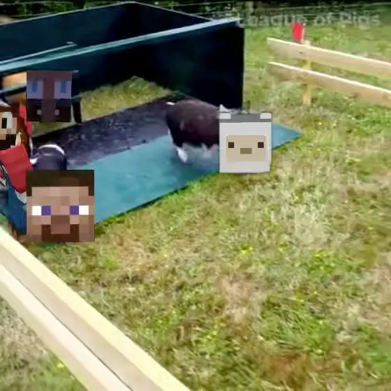 Piñata thumbnail image