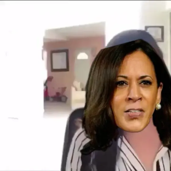 Work from home meme | Kamala taking a conference call with border to not go actually to the border, Joe walking around with undies | image tagged in memes | made with Piñata Farms meme generator