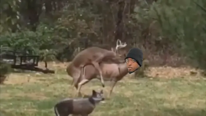 Deer love meme | image tagged in memes | made with Piñata Farms meme generator