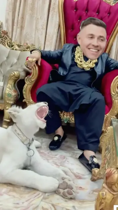 Piñata thumbnail image