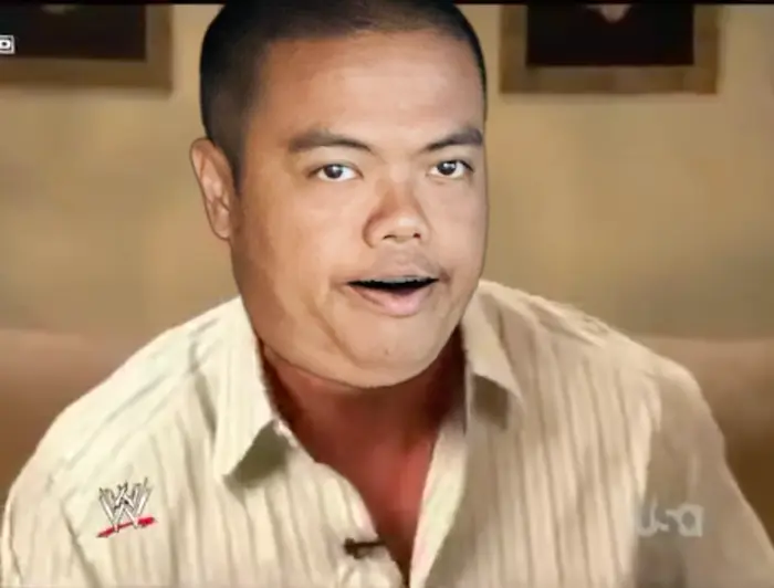 WWE break into the apartment meme | image tagged in memes | made with Piñata Farms meme generator