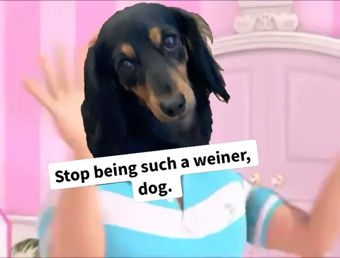 drunk girls in the bathroom meme | I’m going platinum yonickyscorpio.com #memes #memesong #memestocks #dank #dankmemes #dancing follow me (same user name) on IG to see how I remix this | image tagged in memes: dancing, dank, dankmemes, memes, memesong, memestocks | made with Piñata Farms meme generator