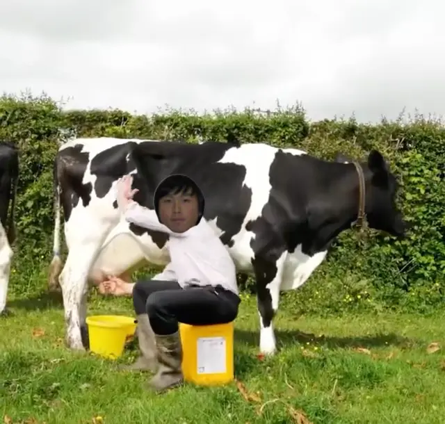 Piñata thumbnail image