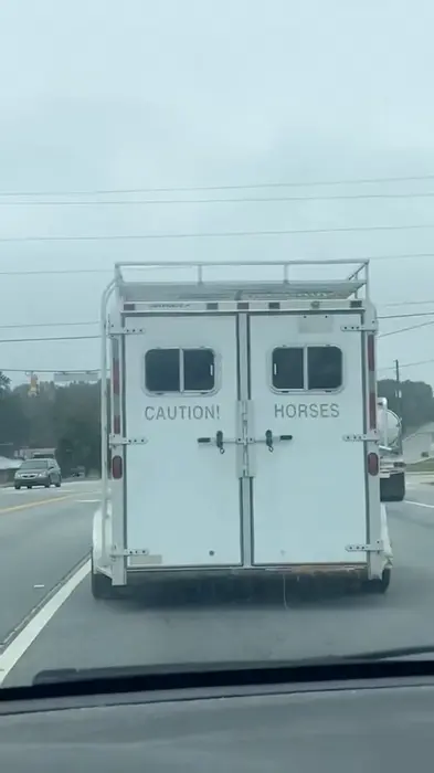 Caution, horses meme | image tagged in memes | made with Piñata Farms meme generator