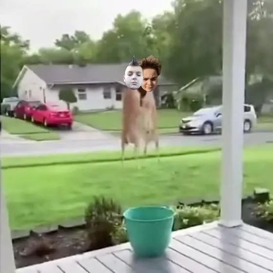 Piñata thumbnail image