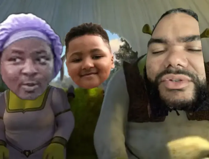 Shrek 2 - For Five minutes meme | image tagged in memes | made with Piñata Farms meme generator